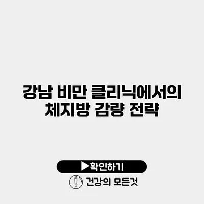 강남 비만 클리닉에서의 체지방 감량 전략