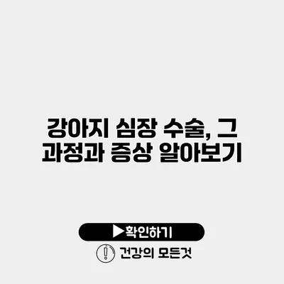 강아지 심장 수술, 그 과정과 증상 알아보기