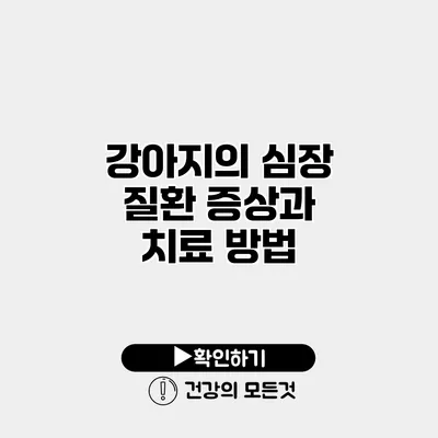 강아지의 심장 질환 증상과 치료 방법