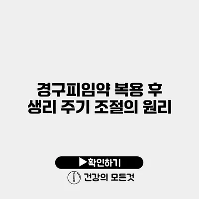 경구피임약 복용 후 생리 주기 조절의 원리