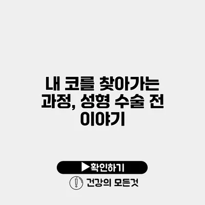내 코를 찾아가는 과정, 성형 수술 전 이야기