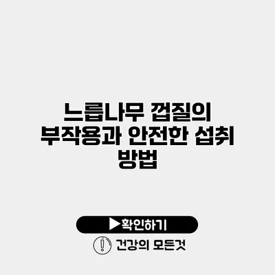 느릅나무 껍질의 부작용과 안전한 섭취 방법