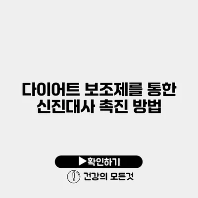 다이어트 보조제를 통한 신진대사 촉진 방법