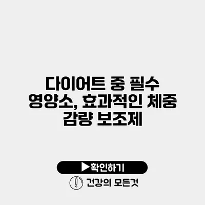 다이어트 중 필수 영양소, 효과적인 체중 감량 보조제