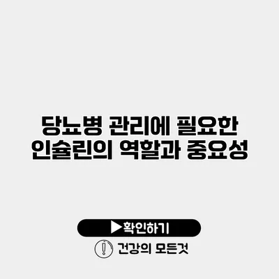 당뇨병 관리에 필요한 인슐린의 역할과 중요성
