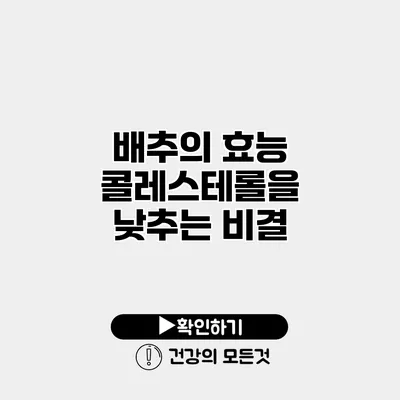 배추의 효능 콜레스테롤을 낮추는 비결
