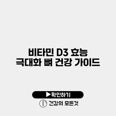 비타민 D3 효능 극대화 뼈 건강 가이드