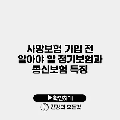 사망보험 가입 전 알아야 할 정기보험과 종신보험 특징