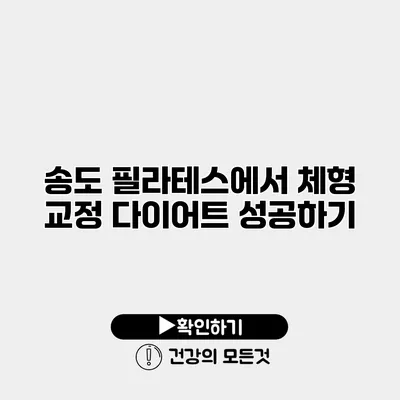 송도 필라테스에서 체형 교정 다이어트 성공하기