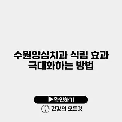 수원양심치과 식립 효과 극대화하는 방법