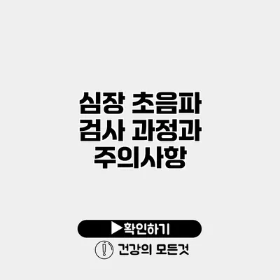 심장 초음파 검사 과정과 주의사항