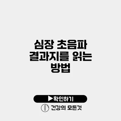 심장 초음파 결과지를 읽는 방법