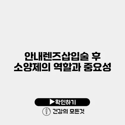안내렌즈삽입술 후 소양제의 역할과 중요성