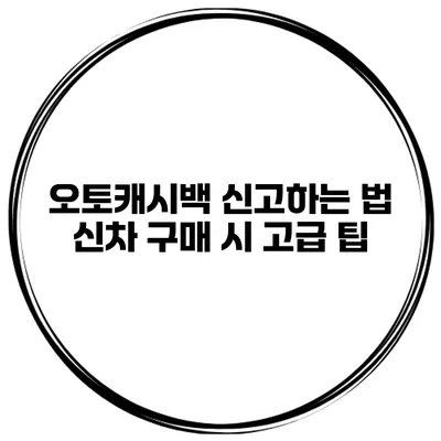 오토캐시백 신고하는 법 신차 구매 시 고급 팁