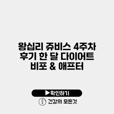 왕십리 쥬비스 4주차 후기 한 달 다이어트 비포 & 애프터