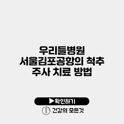 우리들병원 서울김포공항의 척추 주사 치료 방법