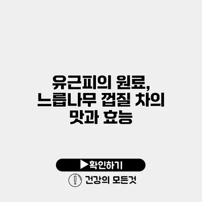 유근피의 원료, 느릅나무 껍질 차의 맛과 효능
