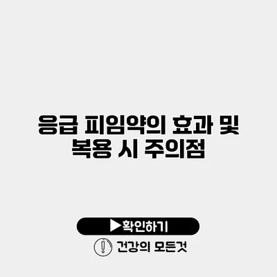 응급 피임약의 효과 및 복용 시 주의점