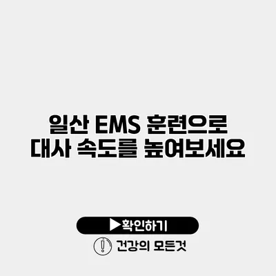 일산 EMS 훈련으로 대사 속도를 높여보세요
