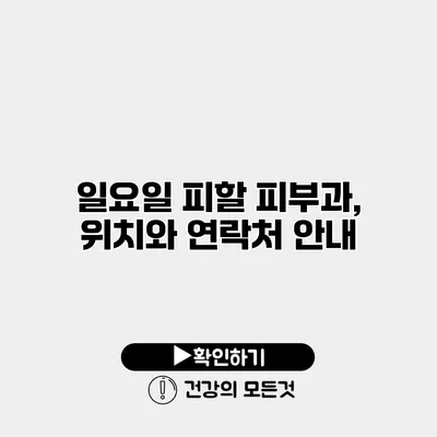 일요일 피할 피부과, 위치와 연락처 안내