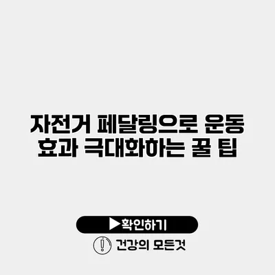 자전거 페달링으로 운동 효과 극대화하는 꿀 팁