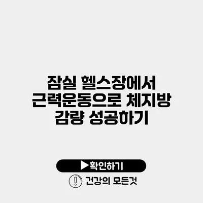 잠실 헬스장에서 근력운동으로 체지방 감량 성공하기