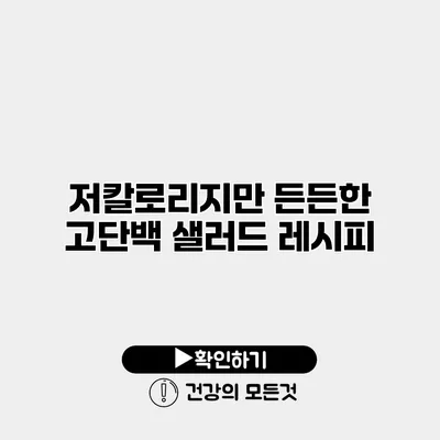 저칼로리지만 든든한 고단백 샐러드 레시피