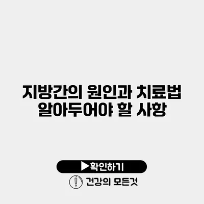 지방간의 원인과 치료법 알아두어야 할 사항