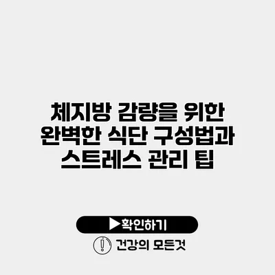 체지방 감량을 위한 완벽한 식단 구성법과 스트레스 관리 팁