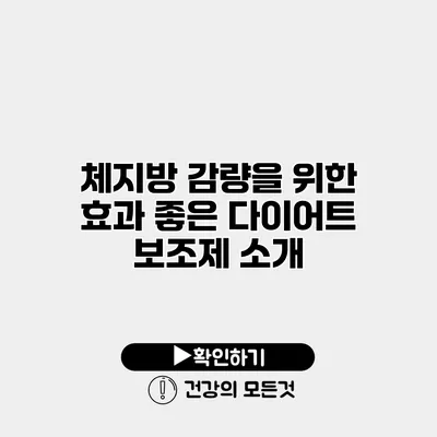 체지방 감량을 위한 효과 좋은 다이어트 보조제 소개