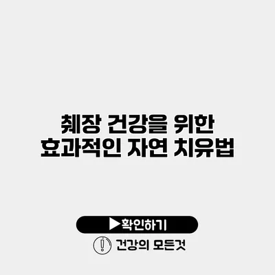 췌장 건강을 위한 효과적인 자연 치유법