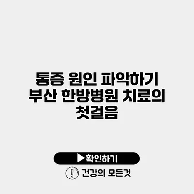 통증 원인 파악하기 부산 한방병원 치료의 첫걸음