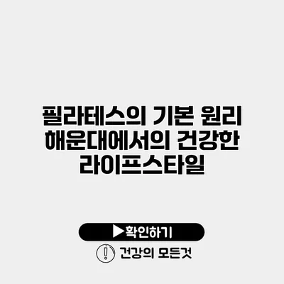 필라테스의 기본 원리 해운대에서의 건강한 라이프스타일
