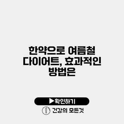 한약으로 여름철 다이어트, 효과적인 방법은?