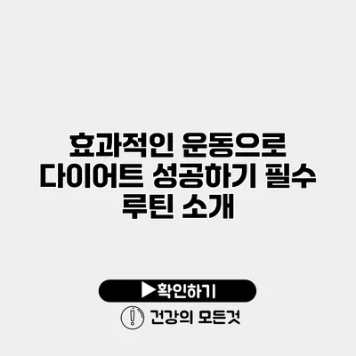 효과적인 운동으로 다이어트 성공하기 필수 루틴 소개