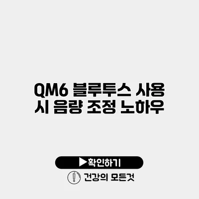 QM6 블루투스 사용 시 음량 조정 노하우