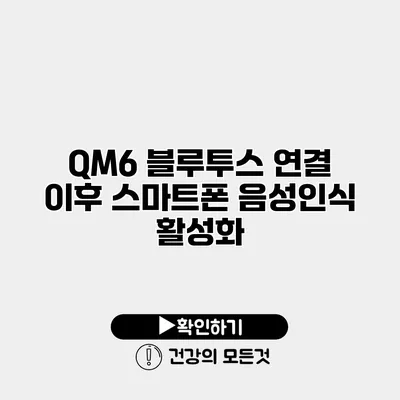 QM6 블루투스 연결 이후 스마트폰 음성인식 활성화