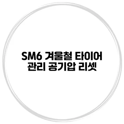 SM6 겨울철 타이어 관리: 공기압 리셋