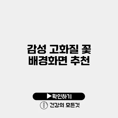 감성 고화질 꽃 배경화면 추천