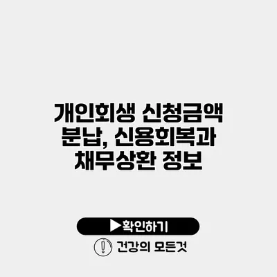 개인회생 신청금액 분납, 신용회복과 채무상환 정보