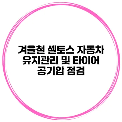 겨울철 셀토스 자동차 유지관리 및 타이어 공기압 점검