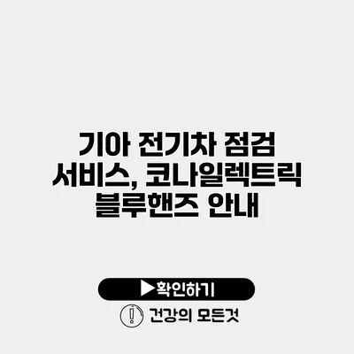 기아 전기차 점검 서비스, 코나일렉트릭 블루핸즈 안내