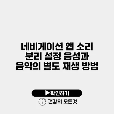 네비게이션 앱 소리 분리 설정 음성과 음악의 별도 재생 방법