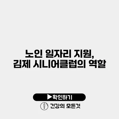 노인 일자리 지원, 김제 시니어클럽의 역할