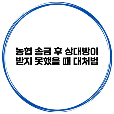 농협 송금 후 상대방이 받지 못했을 때 대처법