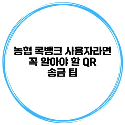 농협 콕뱅크 사용자라면 꼭 알아야 할 QR 송금 팁