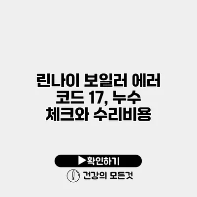 린나이 보일러 에러 코드 17, 누수 체크와 수리비용