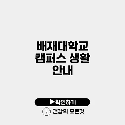 배재대학교 캠퍼스 생활 안내