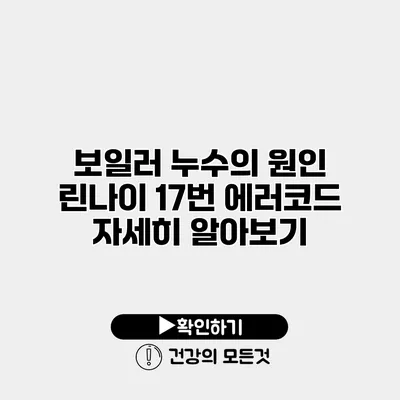보일러 누수의 원인 린나이 17번 에러코드 자세히 알아보기