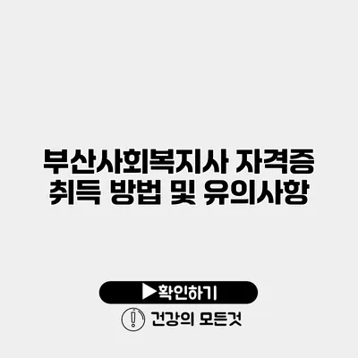 부산사회복지사 자격증 취득 방법 및 유의사항